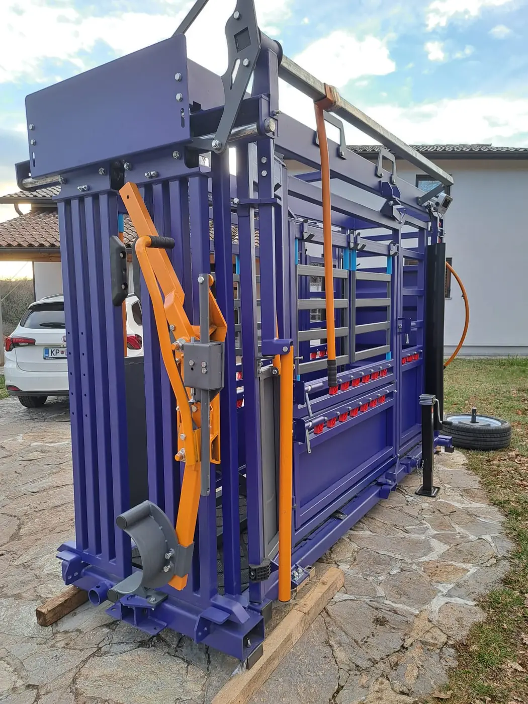 Lovilna kletka za govedo z držalom za glavo, postavljena na prostem